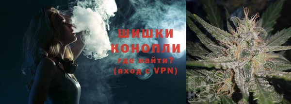 ECSTASY Костерёво