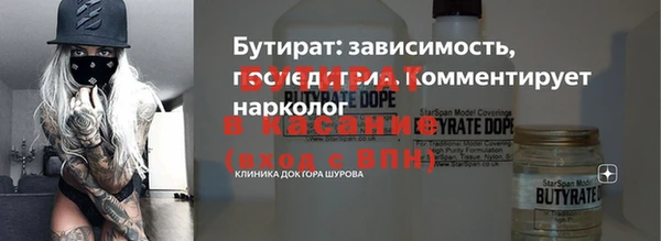 твердый Краснослободск
