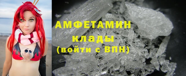твердый Краснослободск