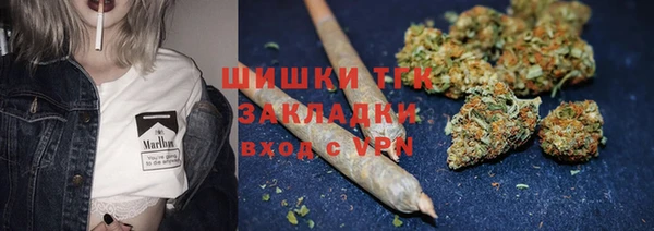 гидра Коряжма