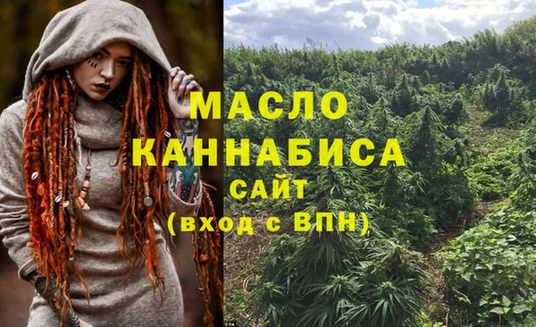 твердый Краснослободск