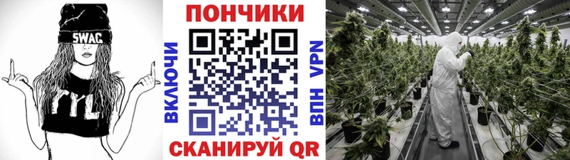 Бошки Шишки тримм Медвежьегорск